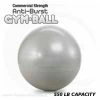 Treadmill Factory General Fitness Jasmine Fitness Commercial 65cm Anti-Burst Ball