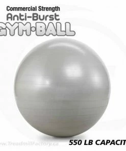 Treadmill Factory General Fitness Jasmine Fitness Commercial 65cm Anti-Burst Ball