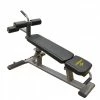 Treadmill Factory Element Adjustable AB / Crunch Bench