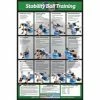 Power Systems Stability Ball Training Poster General Fitness