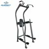 UFG Element Fitness Vertical Knee Raise Tower