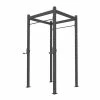UFG Strength Xtreme Monkey 4-4 Free Standing Rig